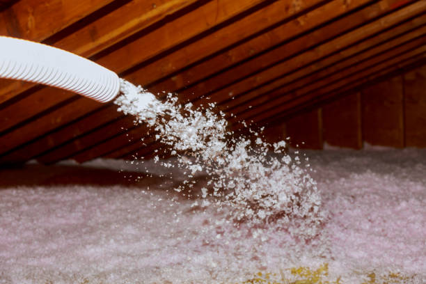 Types of Insulation We Offer in Eldorado, TX