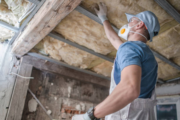 Best Spray Foam Insulation in Eldorado, TX